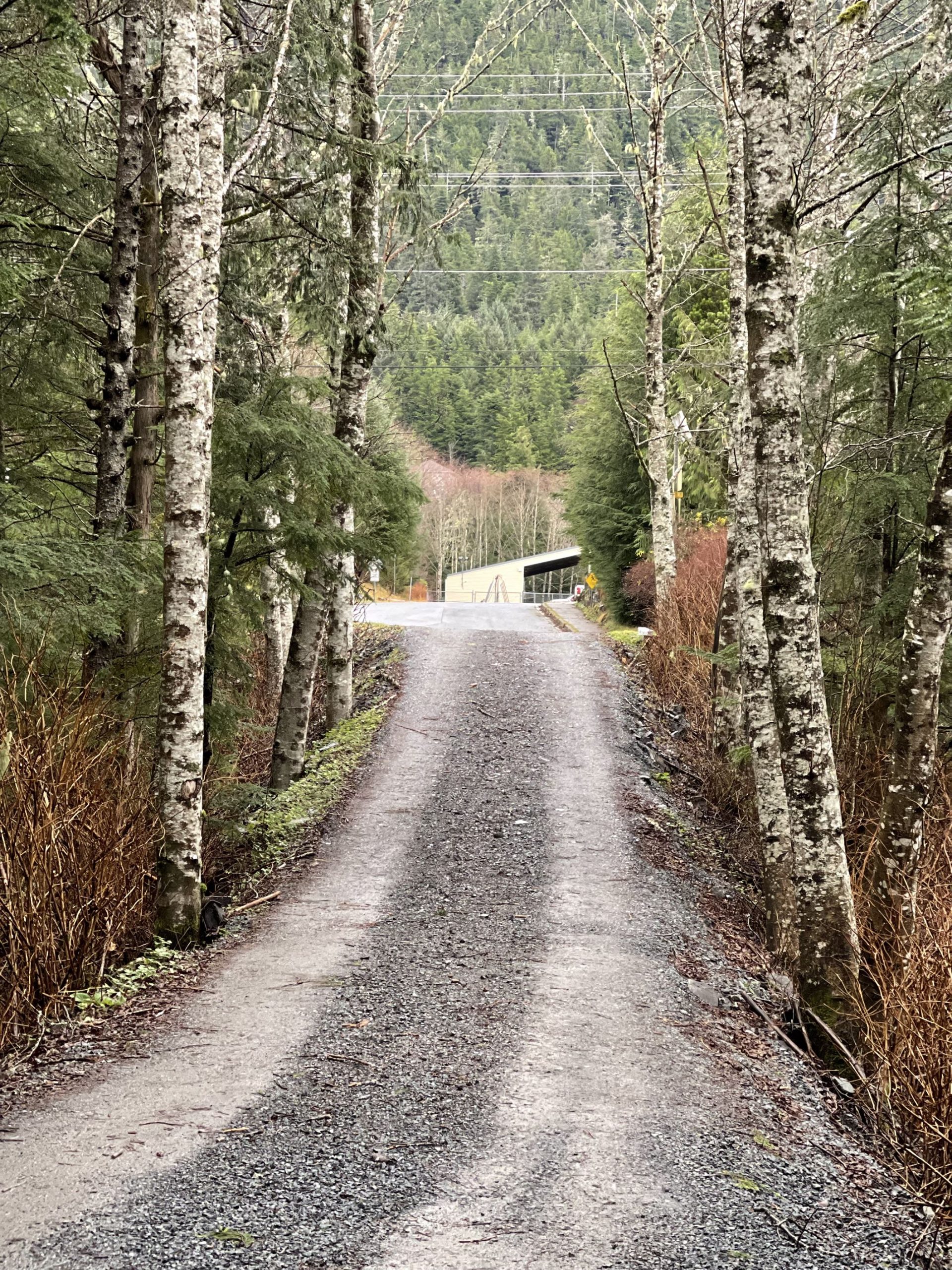 Mass Image Compressor Compressed this image. https://sourceforge.net/projects/icompress/ with Quality:80